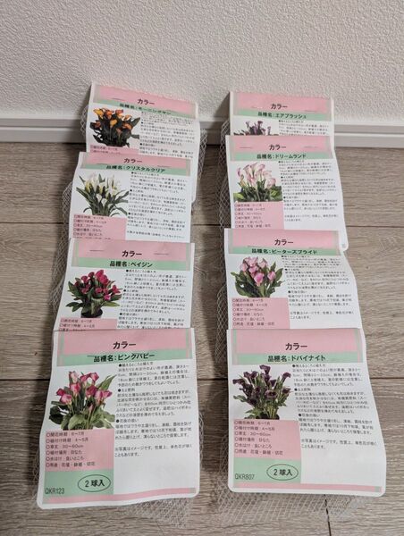 カラー球根各種 8種16球