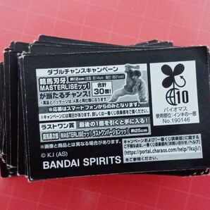 一番くじ刃牙 ダブルチャンス 半券