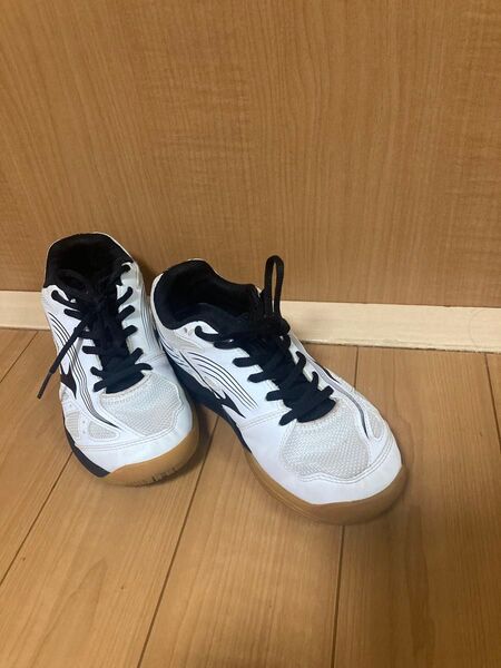 ミズノ バレーボールシューズ 22.5cm
