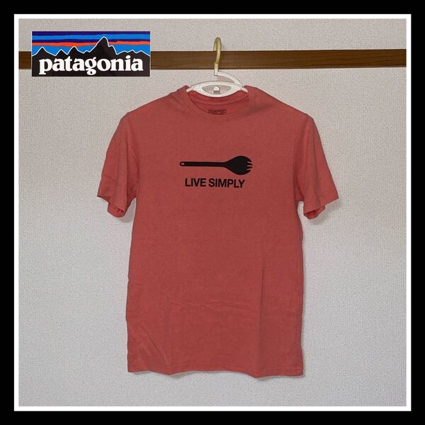 『パタゴニア 速乾Tシャツ』メンズS