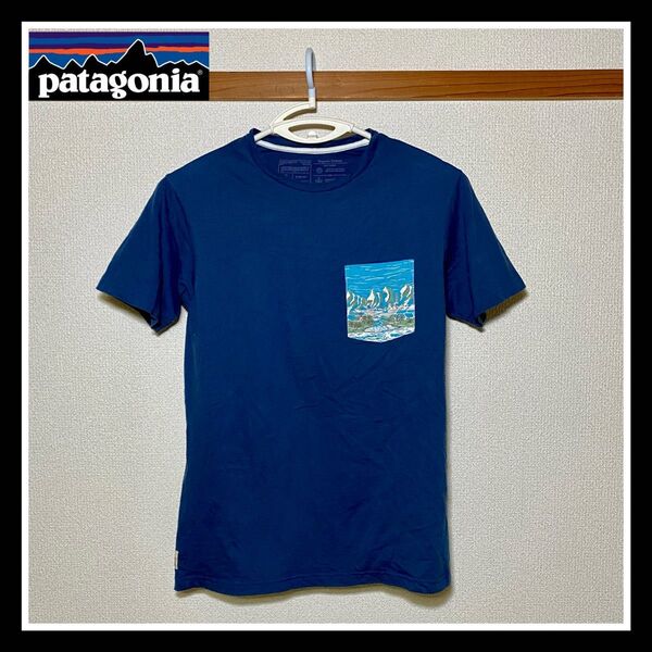 パタゴニア『スリムフィットコットンTシャツ』メンズS