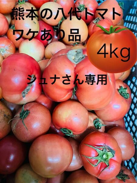 熊本八代のトマト ワケ有り品4kg