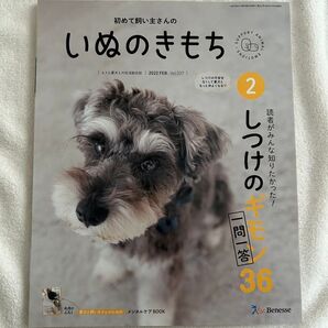 初めての飼い主さんの いぬのきもち 2022年2月