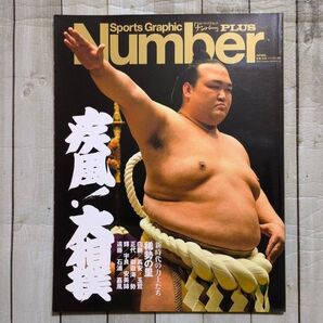 Number ナンバープラス 疾風!大相撲 稀勢の里