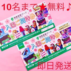 【即日発送】城島高原パーク★入園無料券★10名まで無料♪♪10bb