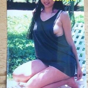 ZARD 坂井泉水 蒲池幸子 写真L版「レースクイーン時代」