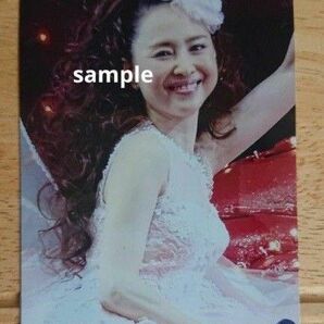 松田聖子 写真L版 「マイ エンジェル」