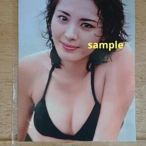 松坂慶子 写真L版「黒」