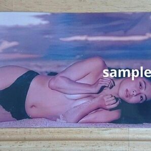 ZARD 坂井泉水 蒲池幸子 写真L版 「お色気ポーズ」