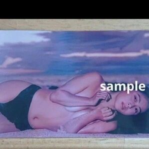 ZARD 坂井泉水 蒲池幸子 写真L版 「浜辺」