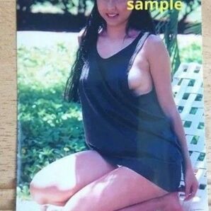ZARD 坂井泉水 蒲池幸子 写真L版 「サマーベッド」