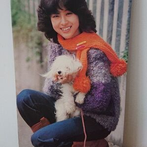 松田聖子 パネル 縦57㎝×横30㎝×厚み2㎝