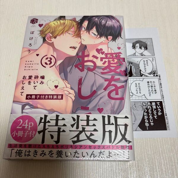 噛み砕いて愛をおしえて 3 小冊子付き特装版 /ぽけろう