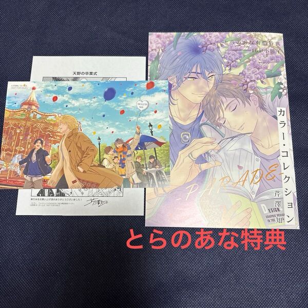とらのあな特典のみ カラー・コレクション-PARADE- /芹澤知