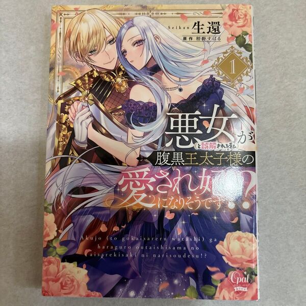 悪女〈と誤解される私〉が腹黒王太子様の愛され妃になりそうです!? 1