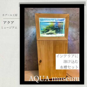 アクアミュージアム30cmサイズ 水槽額5点セット 【なんでもアート】 天然木製