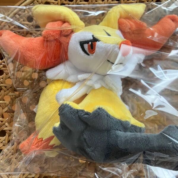 ポケモンfit ポケモンフィット ぬいぐるみ テールナー