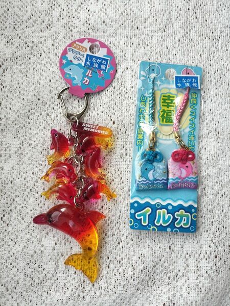 イルカ キーホルダー 2個セット しながわ水族館