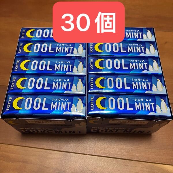 ロッテ クールミント 30個