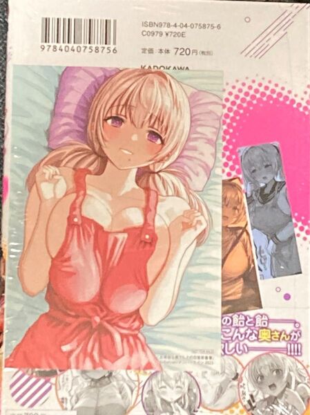 お茶目な奥さんとの日常茶飯事 ゲーマーズ特典かきおろしイラストカード付き 初版
