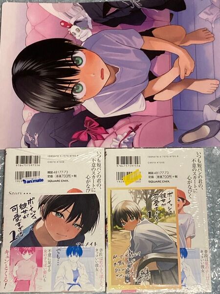 ボーイッシュ彼女が可愛すぎる 1巻 3店舗特典セット メロンブックス ゲーマーズ アニメイト 初版 イラストカード クリアファイル