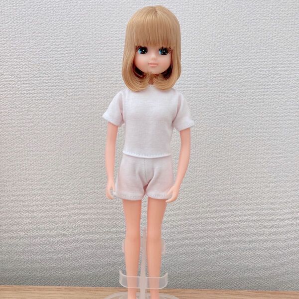 リカちゃんキャッスル 20人のお人形作家赤いカメラモデルリカちゃん