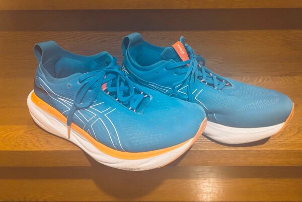 アシックス29cmランニングシューズ GEL-NIMBUS25 エクストラワイド