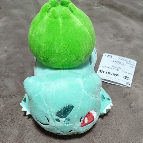 ポケットモンスター くつろぎタイムぬいぐるみ フシギダネ