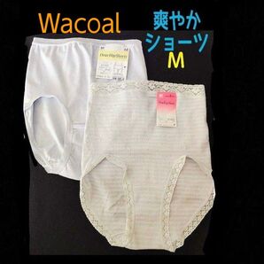ワコールドライ夏用さわやかショーツ2枚セットM