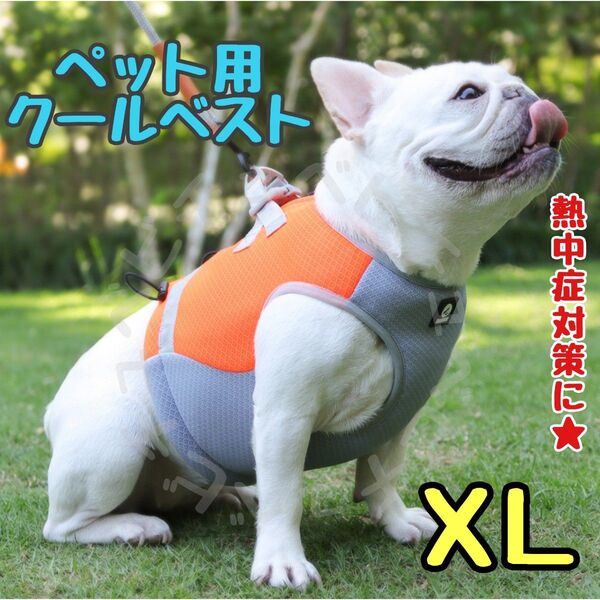 ペット用★犬★クールベスト★ひんやり★ハーネス★冷却★熱中症対策★オレンジ★XL 中型犬 大型犬
