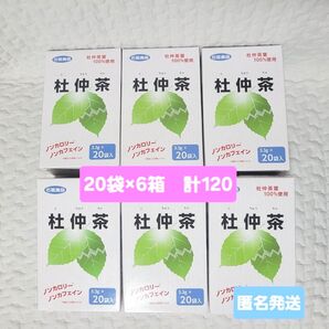 杜仲茶 石垣食品 ノンカロリー ノンカフェイン 20袋 × 6箱