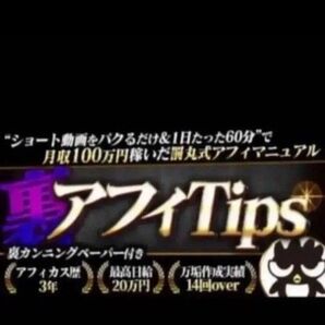 裏アフィTips 罰丸式裏アフィマニュアル 罰丸