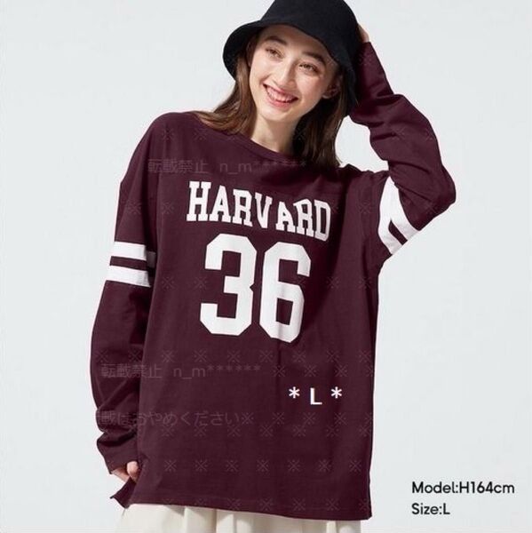 フットボールT(長袖) Harvard university GU