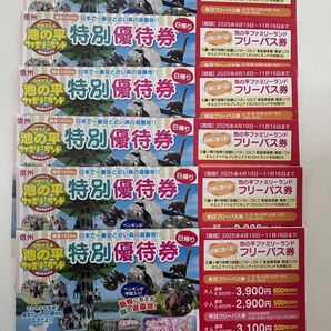 6枚セット 池の平ファミリーランド フリーパス券