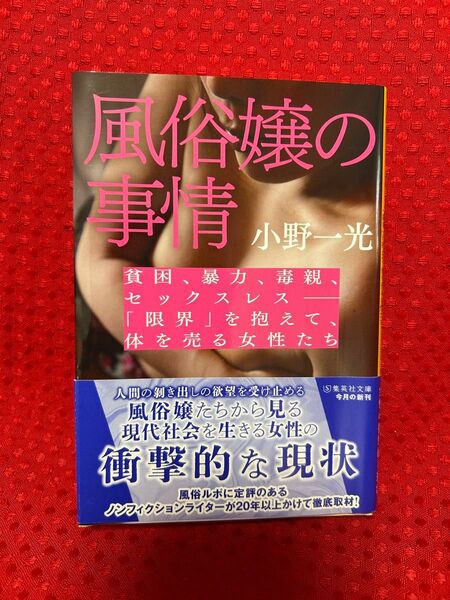 風俗嬢の事情 小野一光 集英社文庫