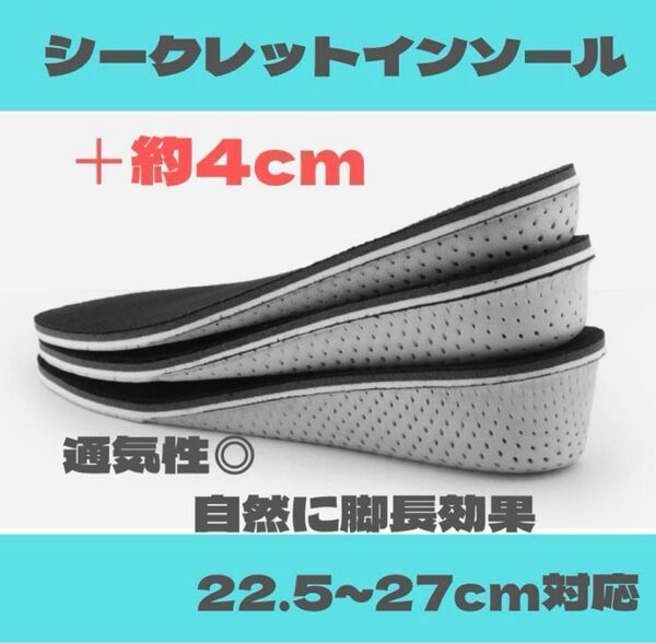 4センチ シークレット インソール 中敷 男女兼用 中敷 かかと スニーカー ブーツ バイク クッション 靴 メンズ レディース