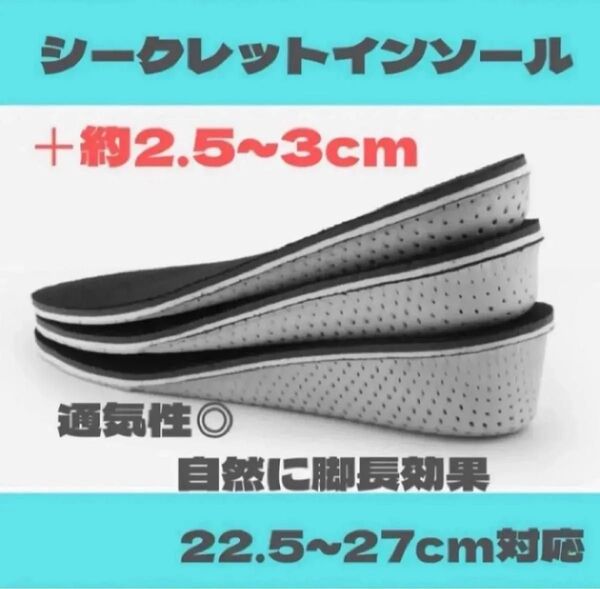 3センチ シークレット インソール 中敷 男女兼用 中敷 かかと スニーカー ブーツ バイク クッション 靴 メンズ レディース
