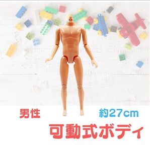 男性 人形 ドール 可動 体 顔なし カスタム 男の子