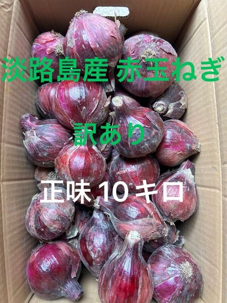 淡路島産 赤玉ねぎ 訳あり 10キロ(正味)