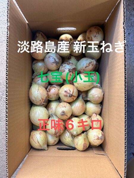 淡路島産新玉ねぎ(七宝)SSサイズ6キロ