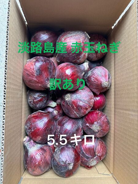 淡路島産 赤玉ねぎ訳あり 5キロ