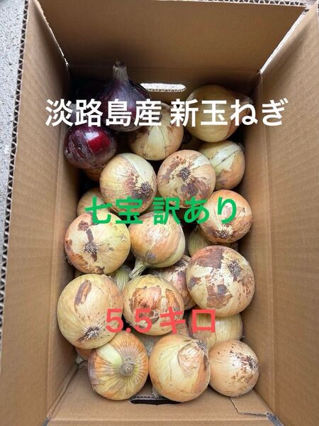 淡路島産 新玉ねぎ 訳あり5.5キロ 赤玉ねぎ付き