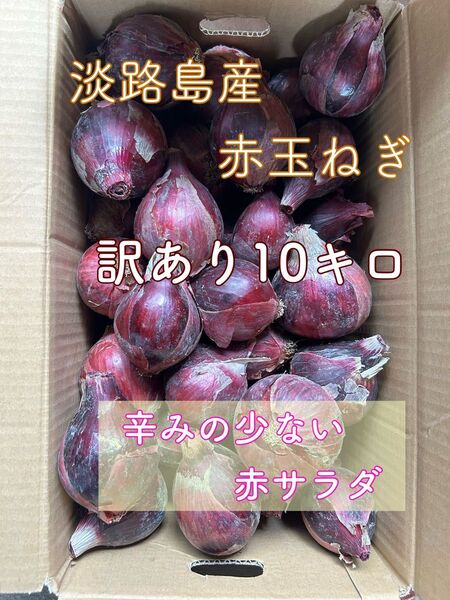淡路島産 赤玉ねぎ 訳あり 10キロ