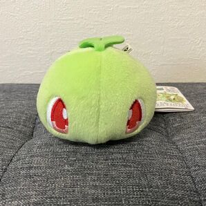 購入前コメント必須【ポケモンころりんフレンズ/チコリータ】