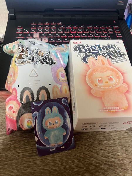 POPMARTLABUBU The big into Energy HOPEのみ