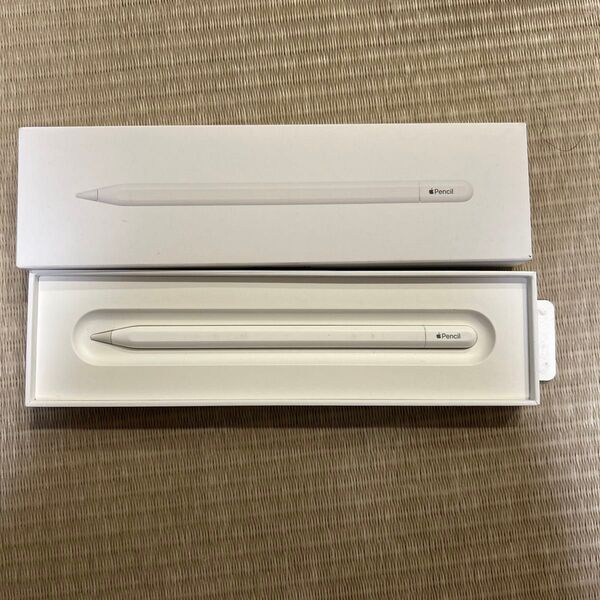 Apple Pencil USB-C