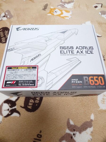 B650 AORUS ELITE AX ICE