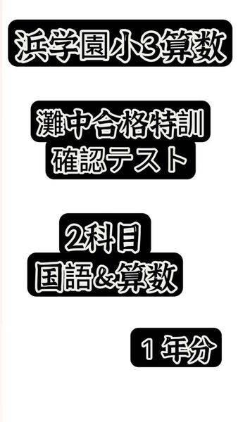 浜学園 小3 灘中合格特訓 確認テスト算数&国語 一年分