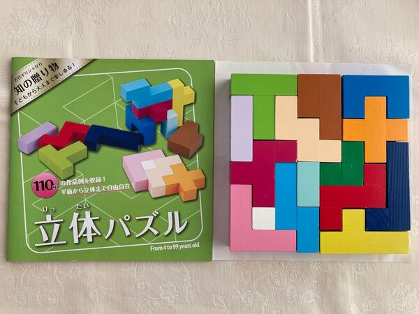 エドインター 木製 立体パズル