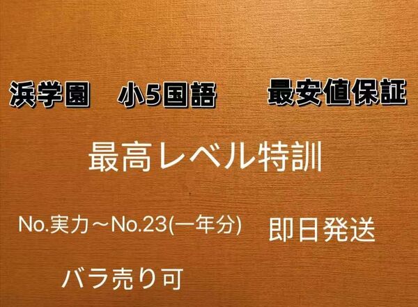 浜学園小5最高レベル特訓 国語